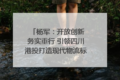 杨军：开放创新 务实重行 引领四川港投打造现代物流标杆｜致敬2024四川经济影响力人物