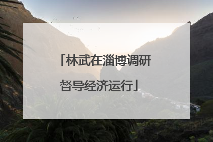 林武在淄博调研督导经济运行