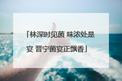 林深时见菌 味浓处是宴 晋宁菌宴正飘香