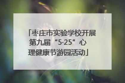 枣庄市实验学校开展第九届“5·25”心理健康节游园活动