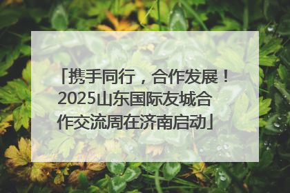 携手同行，合作发展！2025山东国际友城合作交流周在济南启动