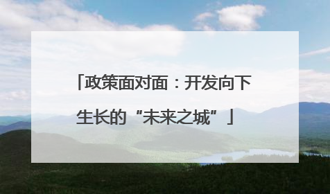政策面对面：开发向下生长的“未来之城”