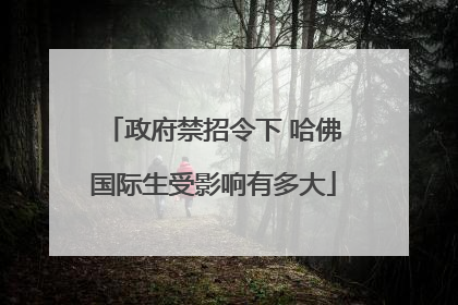 政府禁招令下 哈佛国际生受影响有多大