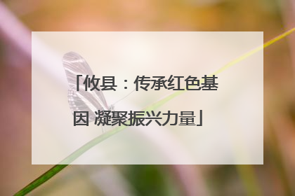 攸县：传承红色基因 凝聚振兴力量