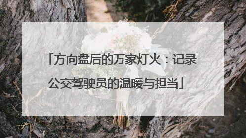 方向盘后的万家灯火：记录公交驾驶员的温暖与担当