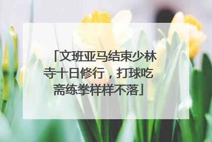 文班亚马结束少林寺十日修行，打球吃斋练拳样样不落