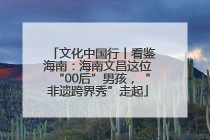 文化中国行丨看鉴海南：海南文昌这位“00后”男孩，“非遗跨界秀”走起