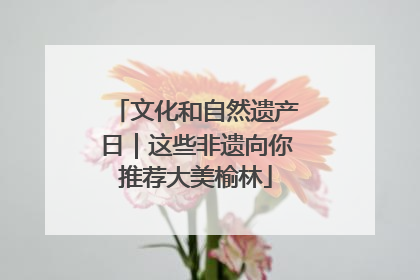 文化和自然遗产日｜这些非遗向你推荐大美榆林