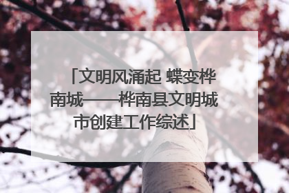 文明风涌起 蝶变桦南城——桦南县文明城市创建工作综述