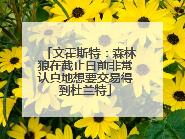 文霍斯特：森林狼在截止日前非常认真地想要交易得到杜兰特