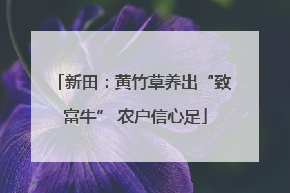 新田：黄竹草养出“致富牛” 农户信心足