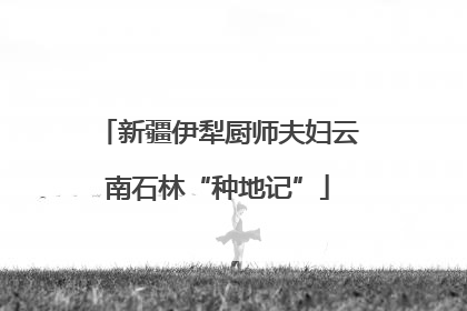 新疆伊犁厨师夫妇云南石林“种地记”