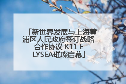 新世界发展与上海黄浦区人民政府签订战略合作协议 K11 ELYSEA璀璨启幕