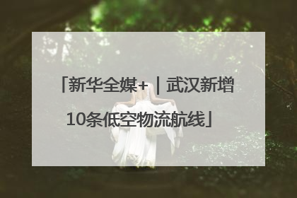 新华全媒+｜武汉新增10条低空物流航线