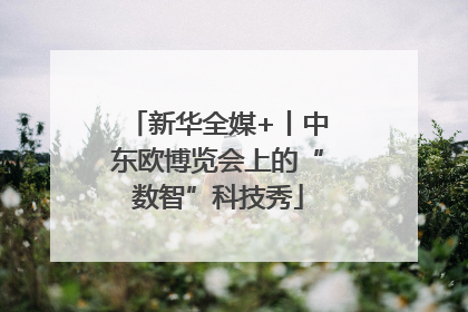 新华全媒+丨中东欧博览会上的“数智”科技秀