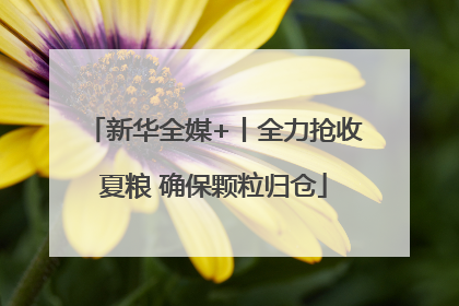 新华全媒+丨全力抢收夏粮 确保颗粒归仓
