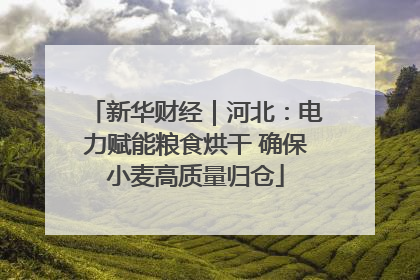 新华财经｜河北：电力赋能粮食烘干 确保小麦高质量归仓