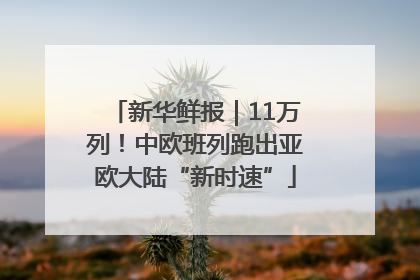 新华鲜报｜11万列！中欧班列跑出亚欧大陆“新时速”