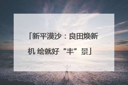 新平漠沙：良田焕新机 绘就好“丰”景