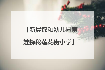 新晨锦和幼儿园萌娃探秘莲花街小学