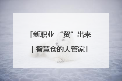 新职业 “贸”出来｜智慧仓的大管家