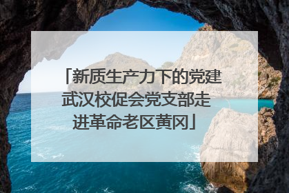 新质生产力下的党建 武汉校促会党支部走进革命老区黄冈