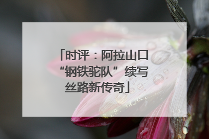 时评：阿拉山口“钢铁驼队”续写丝路新传奇