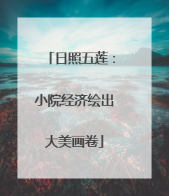 日照五莲：小院经济绘出大美画卷
