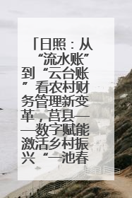 日照：从“流水账”到“云台账”看农村财务管理新变革，莒县——数字赋能激活乡村振兴“一池春水”
