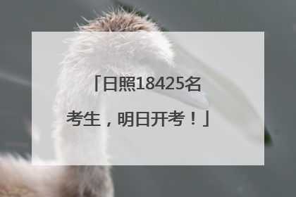 日照18425名考生，明日开考！