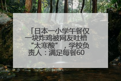 日本一小学午餐仅一块炸鸡被网友吐槽“太寒酸”，学校负责人：满足每餐600千卡的标准