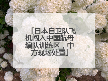 日本自卫队飞机闯入中国航母编队训练区，中方现场处置