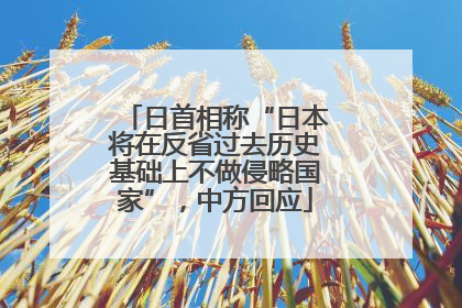 日首相称“日本将在反省过去历史基础上不做侵略国家”，中方回应