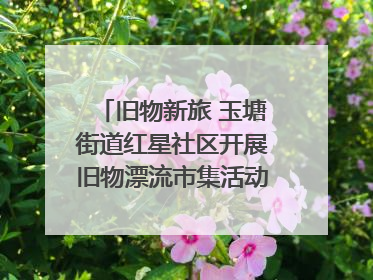 旧物新旅 玉塘街道红星社区开展旧物漂流市集活动   