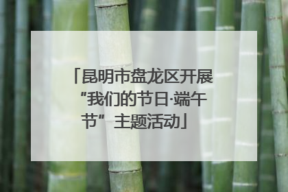 昆明市盘龙区开展“我们的节日·端午节”主题活动