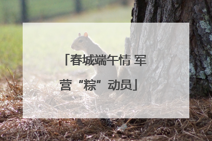 春城端午情 军营“粽”动员
