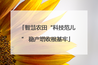 智慧农田“科技范儿” 稳产增收根基牢