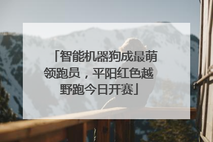 智能机器狗成最萌领跑员，平阳红色越野跑今日开赛