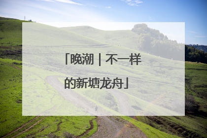 晚潮｜不一样的新塘龙舟