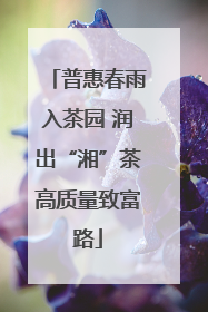 普惠春雨入茶园 润出“湘”茶高质量致富路