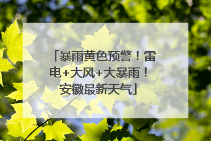 暴雨黄色预警！雷电+大风+大暴雨！安徽最新天气