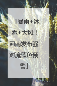 暴雨+冰雹+大风！河南发布强对流蓝色预警