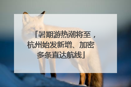 暑期游热潮将至，杭州始发新增、加密多条直达航线