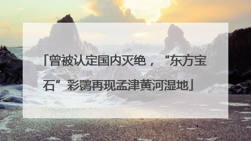 曾被认定国内灭绝，“东方宝石”彩鹮再现孟津黄河湿地