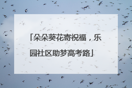 朵朵葵花寄祝福，乐园社区助梦高考路