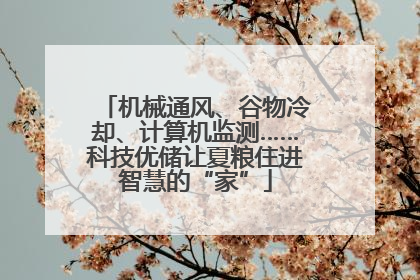 机械通风、谷物冷却、计算机监测……科技优储让夏粮住进智慧的“家”
