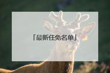 最新任免名单