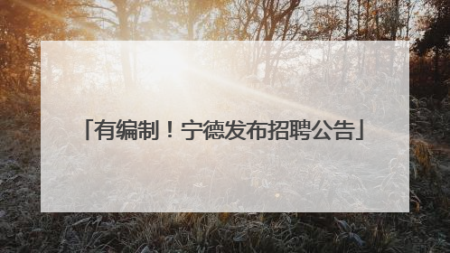 有编制！宁德发布招聘公告