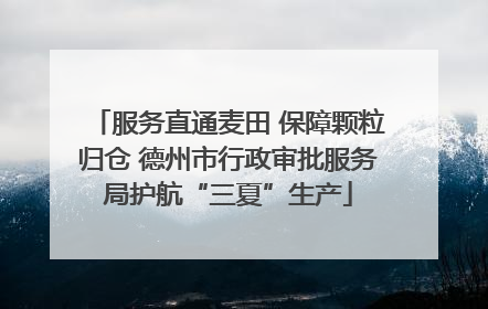 服务直通麦田 保障颗粒归仓 德州市行政审批服务局护航“三夏”生产