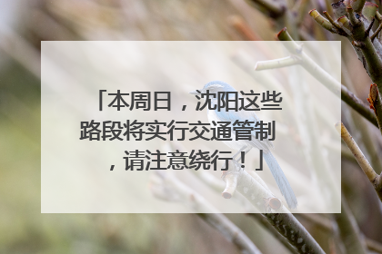 本周日，沈阳这些路段将实行交通管制，请注意绕行！